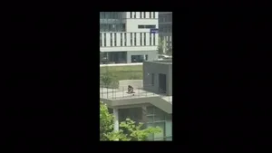 때와 장소를 가리지 않는 발정광모음  한국야동 국산야동